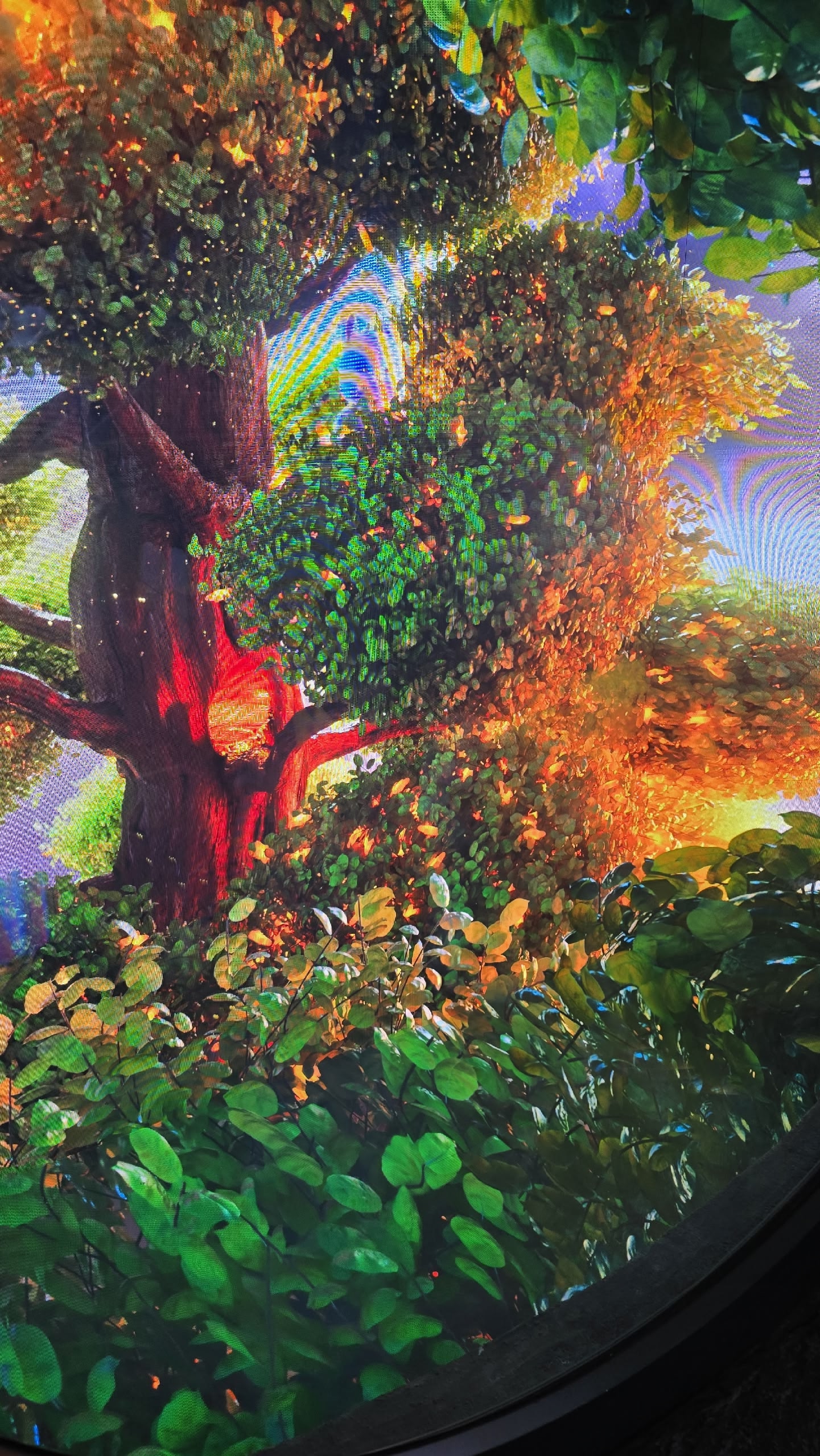 4 галицкого